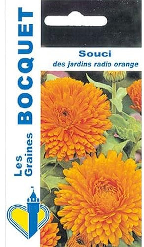 Sachet de graines de Souci des jardins Radio orange - 3 g - fleur annuelle - LES GRAINES BOCQUET
