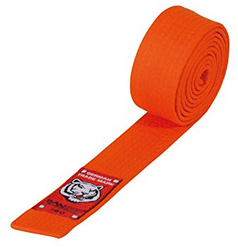 DanRho Junior Taekwondo Judo Karate Gürtel 4 cm Budogürtel 1-farbig einfarbig