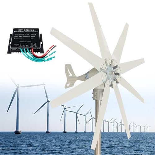 ZEEKYFOR Generatore Eolico 8 Pale, Kit Generatore Turbina Eolica 12000W, Mulino a Eolica Domestico 12V 24V con Controller, Turbina Eolica a Levitazione Magnetica,24V