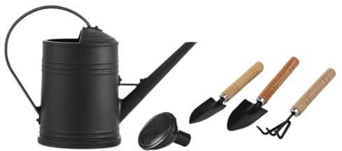 ＡＷＨＡＯ Regadera Regadera de jardín Regadera de jardín de Gran Capacidad 2L Regadera Moderna para Flores de jardín Verduras, Negro