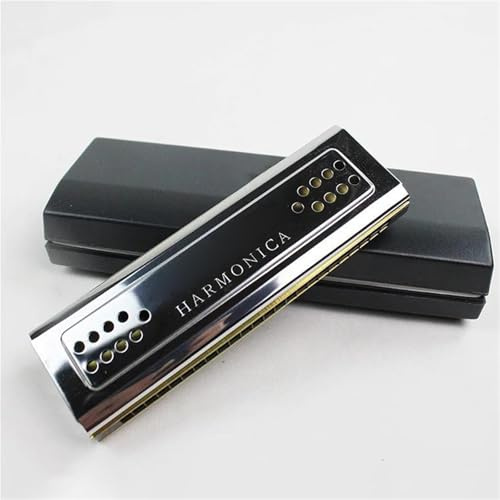 Professional Mundharmonika Mundharmonika Tremolo C Und G 24 Löcher Doppelmundharmonika Harfe Mundharmonika Holzblasinstrumente