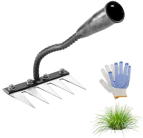 Rack in ferro 2,0, rastrello in ferro per giardinaggio e diserbo, Hochleistungs-Kohlenstoffstahl-Entgitterrechen con 5/6/7 / 8 denti, strumento professionale per diserbo da giardino (5 Teeth)