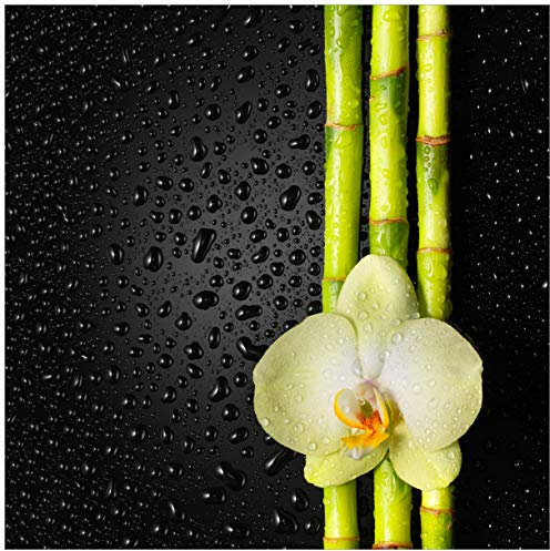 Wallario Glasbild Grüne Orchidee mit Bambus auf schwarz - Regentropfen - 55 x 55 cm Wandbilder Glas in Premium-Qualität: Brillante Farben, freischwebende Optik