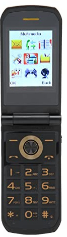 Téléphone Portable Senior Flip, Écran 2,4 Pouces Grand Bouton Radio Calendrier Lampe de Poche Livre électronique Multi Fonctions, Téléphone Mobile 2G pour Personnes Âgées (Or)