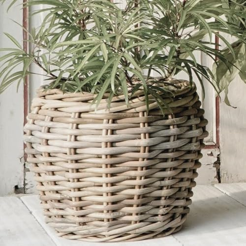 Natur Rattankorb GINI Natural Grey ca.52x36cm Pflanzkorb Übertopf Aufbewahrungskorb Korb
