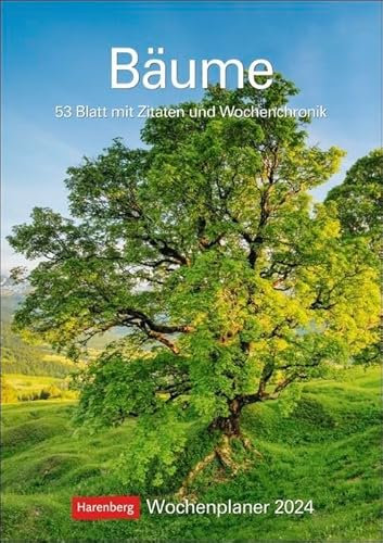 Bäume - Kalender 2024 - Harenberg-Verlag - Wochenkalendarium - 53 Blatt mit wundervollen Aufnahmen und Zitaten - Wandkalender mit Platz zum Eintragen - 25 cm x 35,5 cm