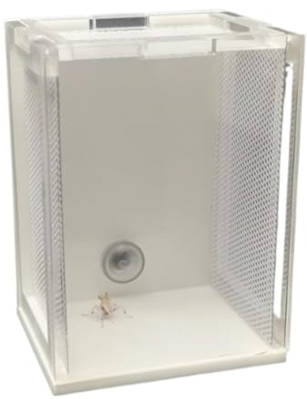 Faunarium Insektenbox Acryl Mantis Terrarium Fütterung Box Reptil Tank for Schnecken Terrarium