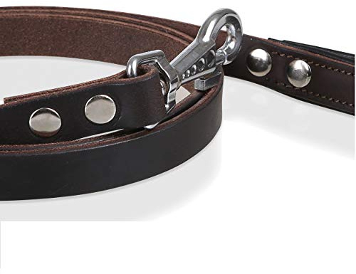 MICHUR Oleo Leine, Hundeleine Leder, Lederleine Hund, PASSEND ZUM Halsband Oleo, Braun, Leder, 150cm