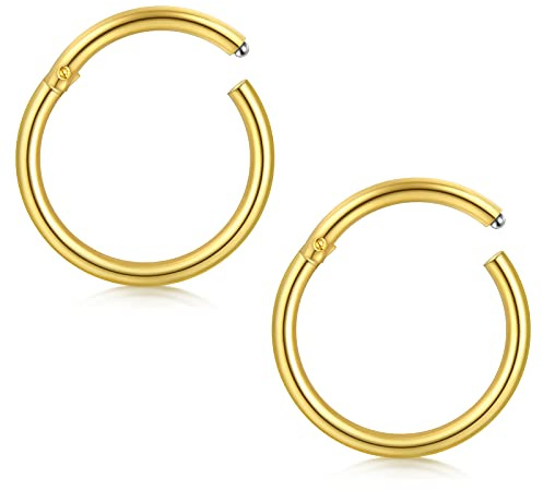 Briana Williams 2stk Gold Segmentring Clicker Septum Nasenring 16G Chirurgenstahl 8mm Hoop Tragus Helix Piercing Ring