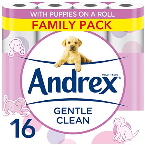 Andrex Gentle Clean Toilet Rolls Pack, 16 Count (Pack of 1)