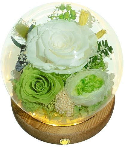 Valley of Rain & Forest Long-Lasting Real Flowers, Unique Floral Gift For you to send Love for All Occasions, for Indoor Decoration (White & Green Roses Arrangement)
