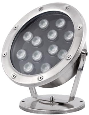 Luce subacquea a LED per laghetto, bassa tensione, AC12, 24 V, IP68, impermeabile, in acciaio inox, per piscine, cascate, rocciosi e hotel, soluzione di illuminazione per fontane