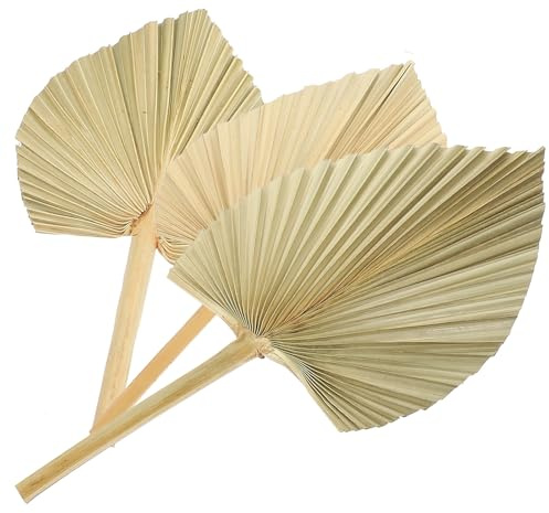 Artibetter 3 Piezas de Hojas de Palma Secas Grandes para Decoración de Pared Artística, Adorno Natural de Abanicos de Palma, Adecuado para Hogar, Boda y Decoración Bohemia