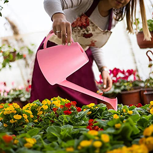 Dinglong Fligatto Arrosoir de 1.8 Litre, Arrosoir à Long Nez, Arrosoir pour Fleurs, Arrosoir pour Plantes d'intérieur, pour arrosage des Plantes de Jardin pour Plantes d'intérieur Plantes. (Pink)