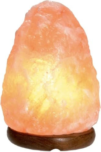 GSG Himalaya Salt Lamp 2-3 - Natural Shape Salt Crystal Lamp from the Salt Range - Salt Lamp with Cable and Replaceable Light Bulb Made of Pure Salt Stone [Energy Class A]