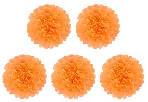Cozylkx 5 Pezzi Di Carta Velina Pompon Fatti a Mano Fiori Di Carta Palle Decorazioni Appese per Compleanno Baby Shower Matrimonio