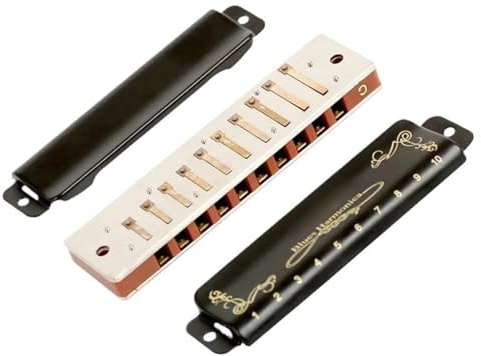 Professionelles Diatonisches Mundharmonika Set Mit 10 Löchern Und 7 Tonarten