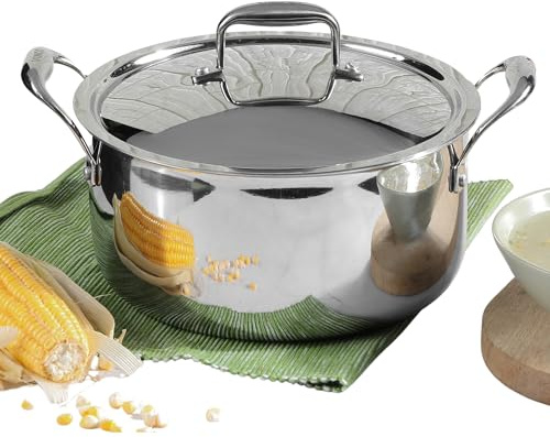 Vinod Platinum Triply Stainless Steel Stewpot with Lid, 6.8 Litre, 26 cm | Riveted Handles | Induction & Gas Stove Compatible | Deep Stockpot for stews, Curries, Soups & One-Pot Meals