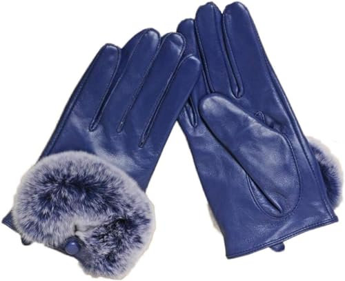 FLYIFE Unisex-Erwachsene Handschuhe Womens Touchscreen Lederhandschuhe Warme Einfache Fahrt Glamouröse Handschuhe Herbst- Und Winter-Lederhandschuhe/Blau/M