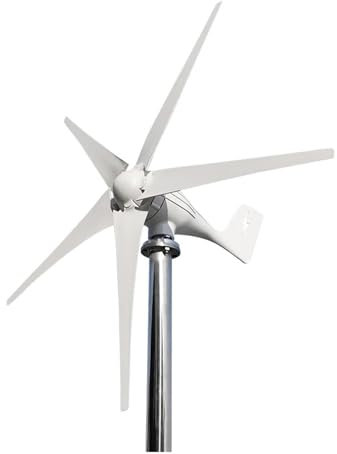 Turbina aerogeneradora Horizontal de 800W, 1kW, 12V, 24V, conjunto completo, molino de viento, controlador de carga MPPT, Generador pequeño Para el hogar, la granja, los vehículos recreativo(5 Blades,