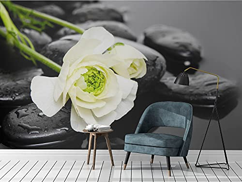 Oedim Papier peint mural en vinyle Décoration Murale Panneau Mural Motif pierres zen 150 x 100 cm