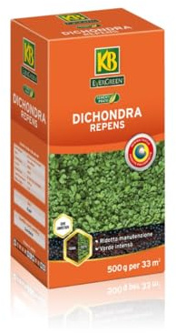KB Dichondra Repens, Semi per Prato, 250 grammi