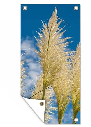 MuchoWow Poster exterieur Plantes - Herbe de la pampa - Air Decoration murale 80x160 cm Résistant aux intempéries/soleil