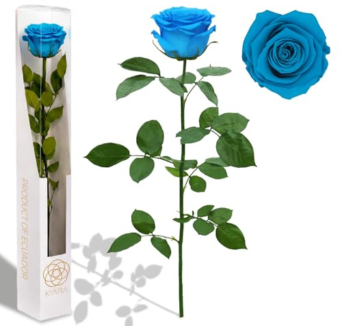 Gdecora Rosa Eterna Preservada de Color Aqua Marine con Tallo 55cm Mujer,Mamá,Novia,Abuela- Flores Infinita para Cumpleaños,San Valentín,Día de la Madre, Rosas Preservadas Blue
