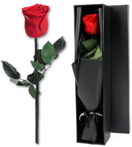 Joollurm Rote Ewige Rose Geschenke für Frauen, Infinity Echte Rosen mit Stiel in Geschenkbox, Konservierte Blumen Valentinstag Jahrestag Frauentag Geschenk für Sie Mama Ehefrau Freundin