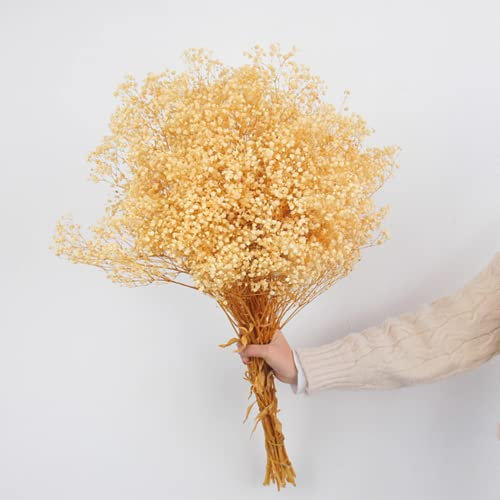 Bouquet di fiori secchi per bambini, 1500+ fiori bianchi, rami di gypsophila naturali da 43 cm, per decorazione di vasi da tavolo per matrimoni, ghirlande floreali fai da te, decorazioni per la casa