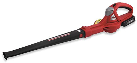 Grizzly Soffiatore a Batteria ALB 2420 Lion con Batteria 24 V