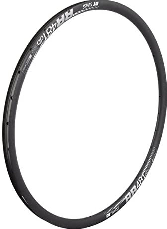DT Swiss AG Unisex – Erwachsene Dt Swiss Rr Fahrradfelg, Mehrfarbig, One Size