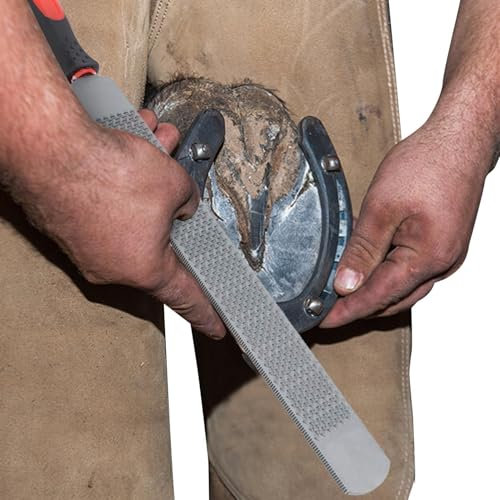 Jiimhte de herradura, escofina para cascos de caballos | escofina para cascos de herrador de acero al carbono de doble cara - de Recorte de Herradura Herramientas de Herrador Reparación de