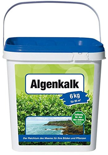 Beckmann Algenkalk 6 kg gegen Buchsbaumzünsler für Bio-Anbau