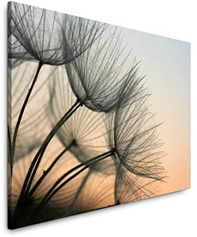 Paul Sinus Art Pusteblumen 100 x 70 cm Inspirierende Fotokunst in Museums-Qualität für Ihr Zuhause als Wandbild auf Leinwand in