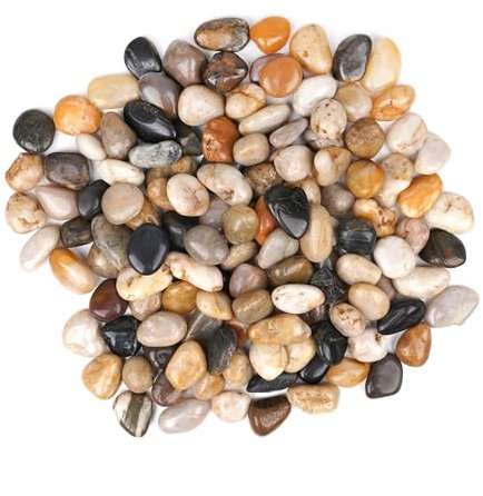 Winter Shore 2,25 kg Rocas de Río para Plantas - Piedra Decorativa Pulida para Manualidades - Piedras Decoracion Jardin, Relleno Jarrones, Acuarios, Suculentas- 2 a 4 cm, Aprox. 170 Piezas por Bolsa