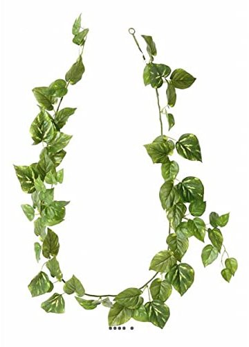 Artificielles.com - Guirlande de pothos artificiel Longueur 180 cm panaché