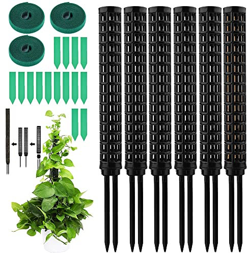 Monstera Rankhilfe,Moosstab für Monstera,6pcs Pflanzstab Monstera,Rankhilfe Zimmerpflanzen Kokos,Pflanzenstab Monstera,Moss Pole Monstera,Kletterhilfe Monstera,Pflanzenstütze Monstera