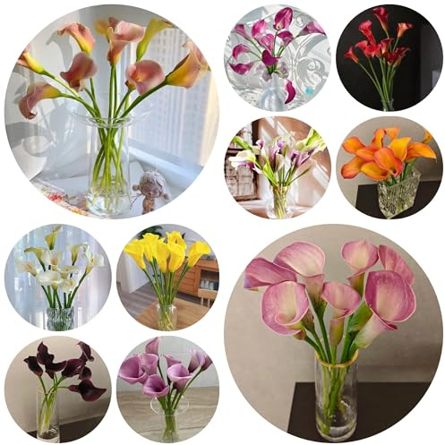 8bulbi di calla resistenti, copertura del terreno, perenne, calle, decorazione, appartamento estate di campo, resistenti