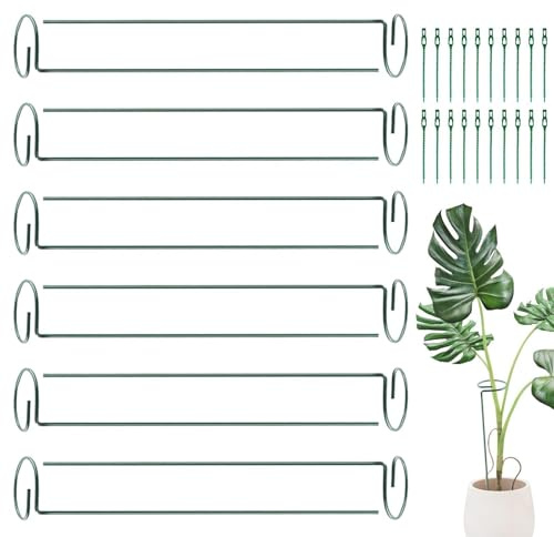 Tutori per Gladioli in Metallo Riutilizzabili - 12 Pezzi da 40 cm Riutilizzabili | Supporti per Fiori - per Rose Pomodori, Balcone Cortile Terrazzo Fattoria