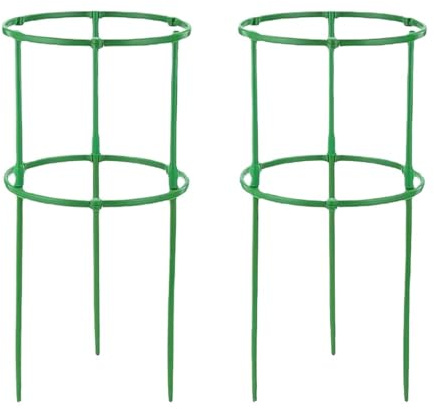 CGUOHU 12 st klättringsställ vinstockar insats 20 cm växter hög trädgård halvcirkel blommor bur växt växande stång fäste bonsai verktyg för växtstativ