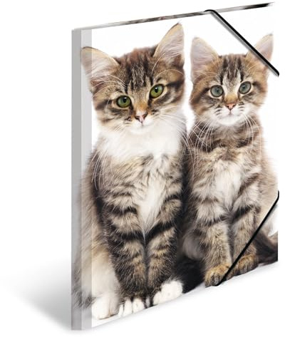 HERMA Sammelmappen A3 Katzen Set, 3 Stück, Kinder Eckspanner-Mappen aus Kunststoff mit Tier Motiv, Gummizug, Innenklappen und Innendruck für Jungen und Mädchen