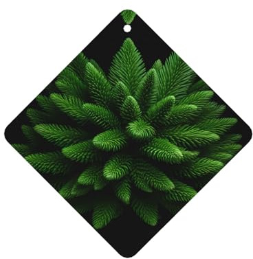 Phayah Profumo di abete rosso con foglie di albero, profumo di lavanda, aroma quadrato da appendere, per interni dell'auto, 6 pezzi