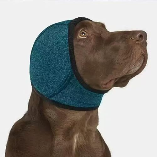 OCSOSO öronskydd för hundbad – vattentätt sim-öronskydd med brusreducering, ventilerande och justerbart hundöronskydd mot smuts, insekter (Teal L)