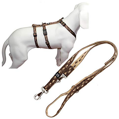 A. Hoffmann GmbH NoExit Hundegeschirr® - ausbruchssicher, Panikgeschirr, braun mit beigen Pfötchen, Bauchumfang 50-65 cm, 20 mm Bandbreite, inkl. mit passender Führleine