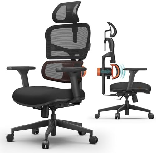 Newtral NT001 Bürostuhl Ergonomisch, Ergonomischer Schreibtischstuhl 150kg, Ergonomic Office Chair PC Stuhl Computerstuhl mit Verstellbare Kopfstütze Armlehne (NT001, Schwarz)