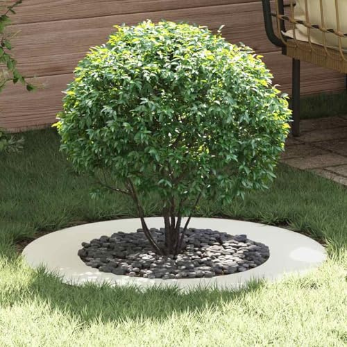 INLIFE adapté pour Anneaux d'arbre Plats Blanc Ø50 / 80 cm Acier