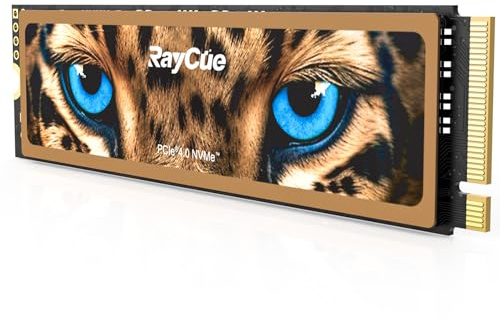 RayCue 2TB NVMe M.2 SSD für PS5 mit Kühlkörper, bis zu 7450MB/s, PCIe 4.0 M.2 2280 Gaming SSD, geeignet für PlayStation 5 Speichererweiterung, Spielbegeisterte, IT-Profis