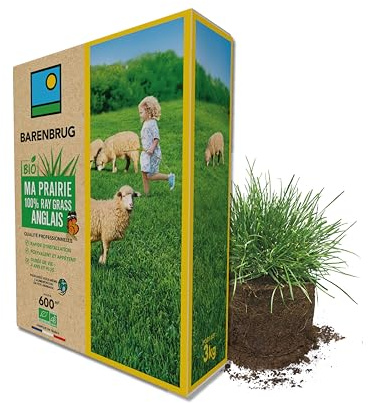 BARENBRUG - Prairie 100% Ray-grass anglais BIO - Rapide d’Installation - Polyvalente et Appétente - Très Bonne Pérennité 4 ans et + - Production Alimentation pour Animaux - Fabriqué en France - 3KG