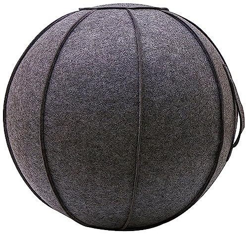 LXURY 65cm Yoga Sitzball, Mit Handgriff und Pumpe, Strapazierfähiger Anti-Burst Bezug für selbststehende Übungsbälle, für Pilates, Schwangerschaft und Physiotherapie,B